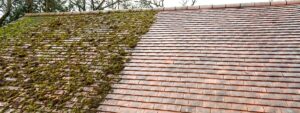 Roof Moss Removal