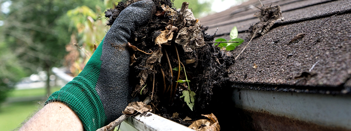 Clogged Roofing Gutters