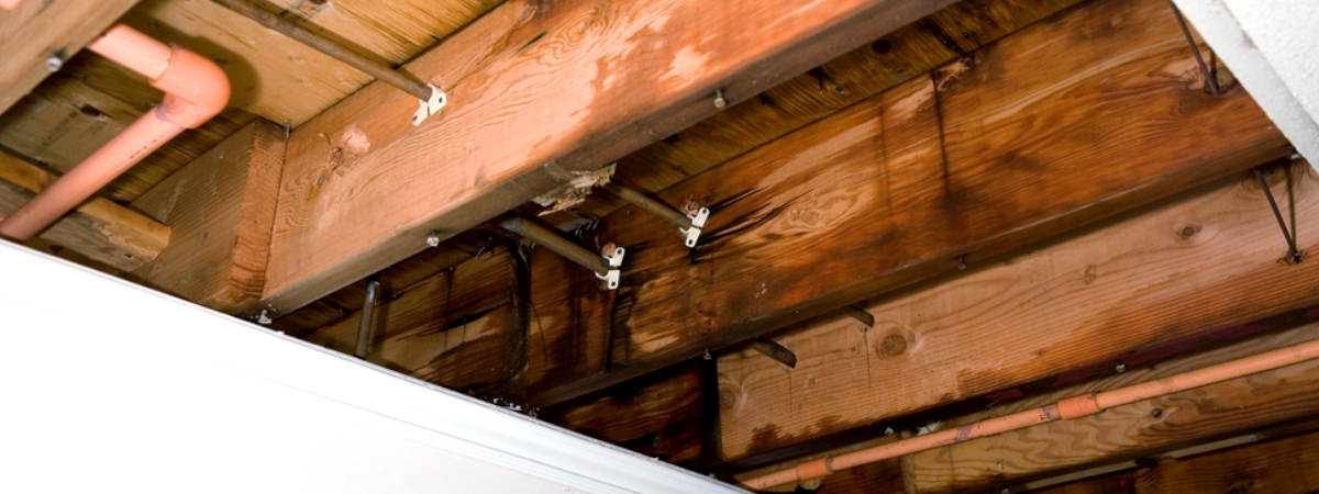 A Guide to Repair a Leaking Roof : Steps and Causes